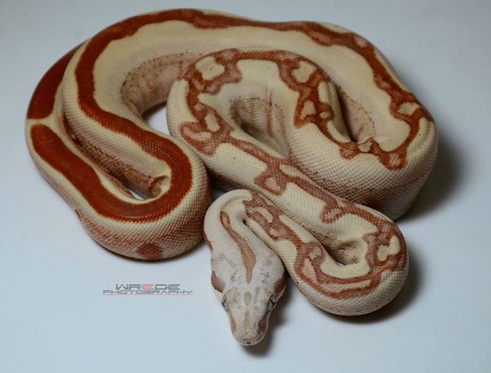 10150073_4066574478255_266551151_n