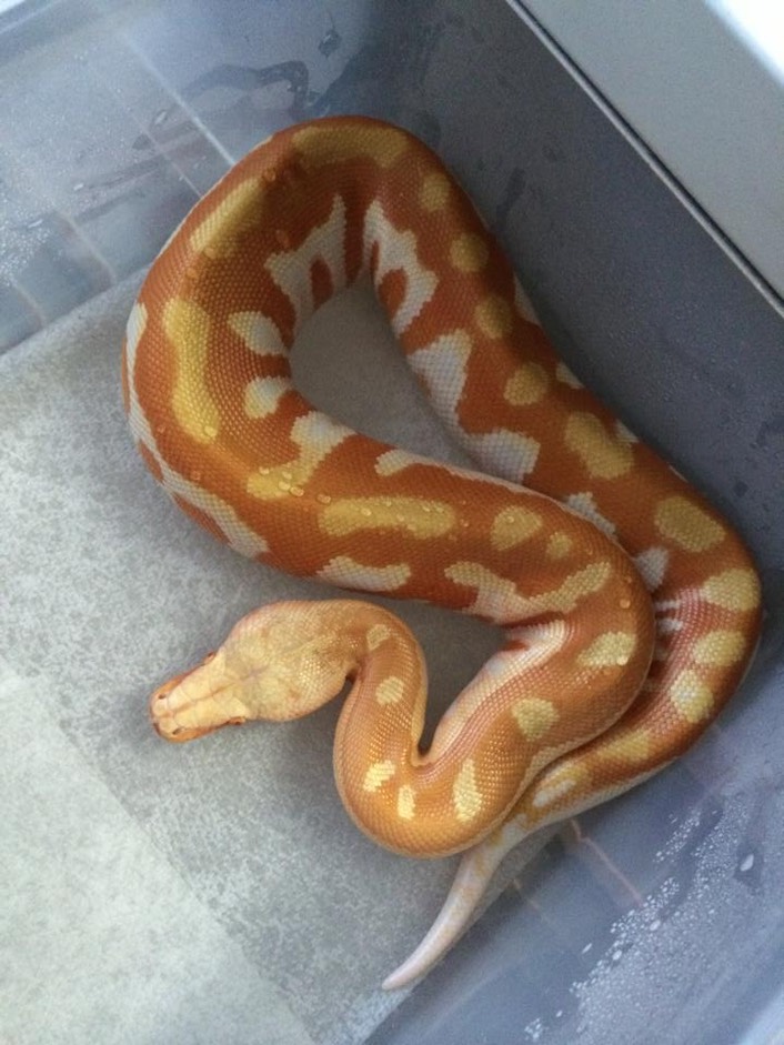 10157134_10101538691077545_2109550202_n