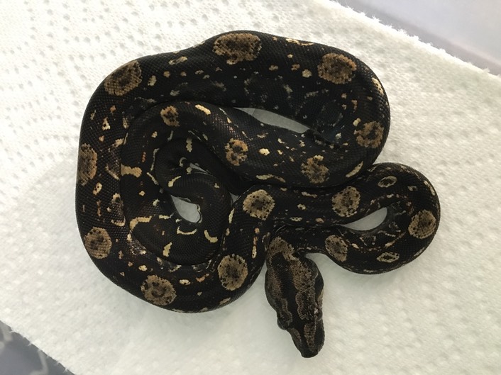 51175345347  35F717E7-2FBD-48D8-BA05-DDCD6F2A794D