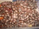 DSC03221