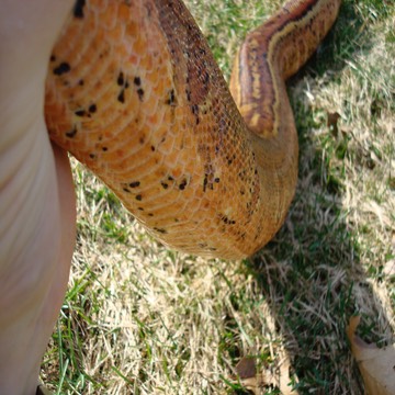 DSC09056