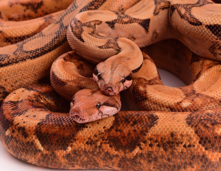 Expo and Christopher-100