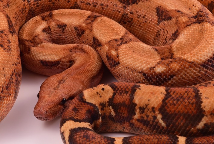 Expo and Christopher-10