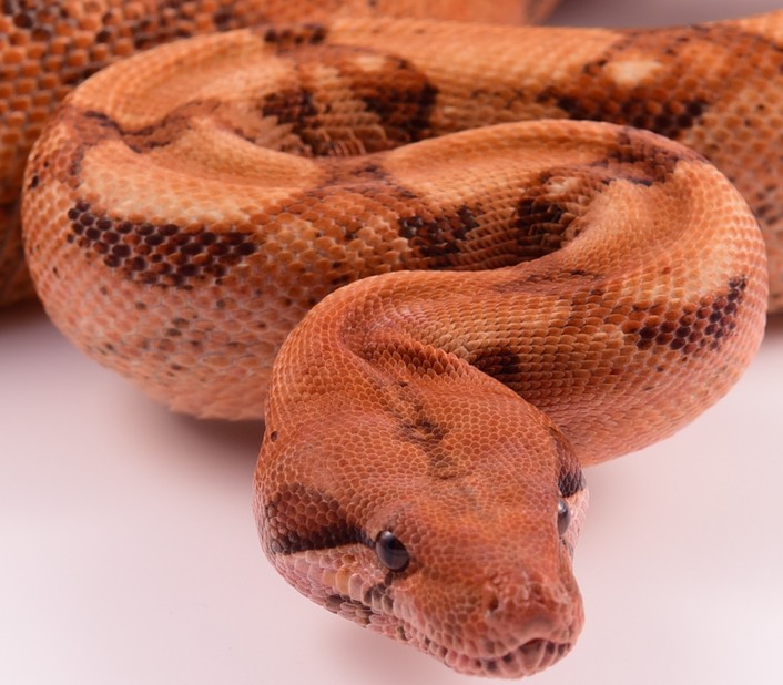 Expo and Christopher-21