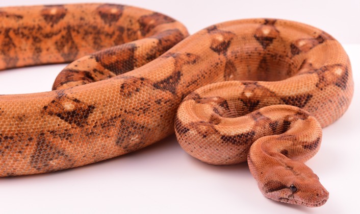 Expo and Christopher-25 (1)