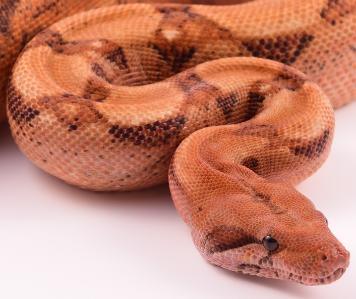 Expo and Christopher-25