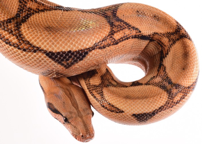 Expo and Christopher-30