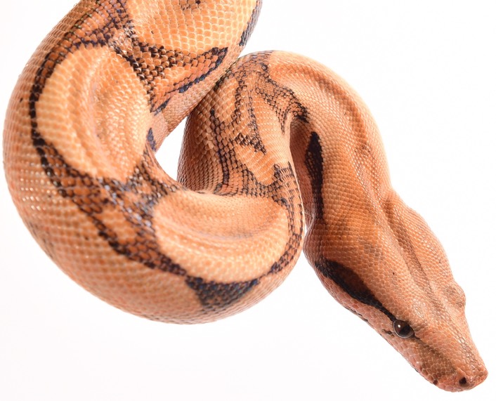 Expo and Christopher-39