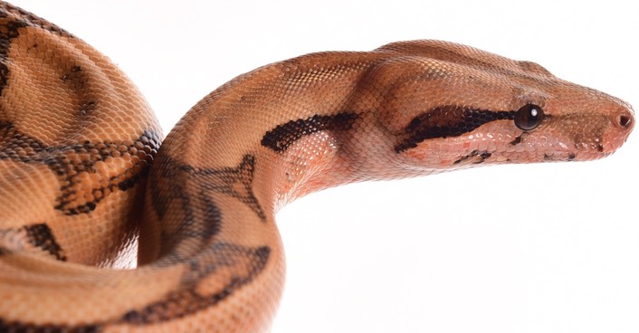 Expo and Christopher-40