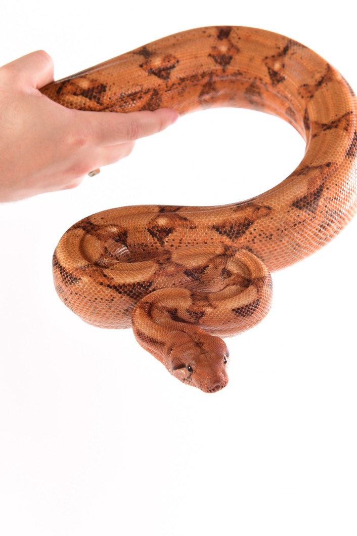 Expo and Christopher-45