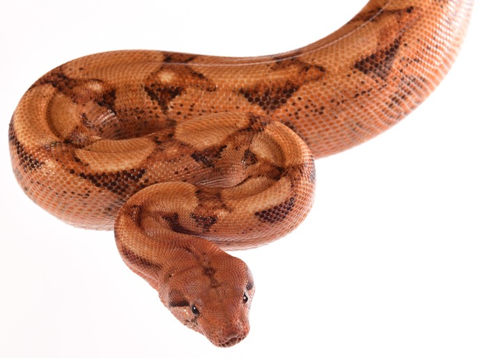 Expo and Christopher-46