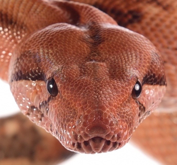 Expo and Christopher-53