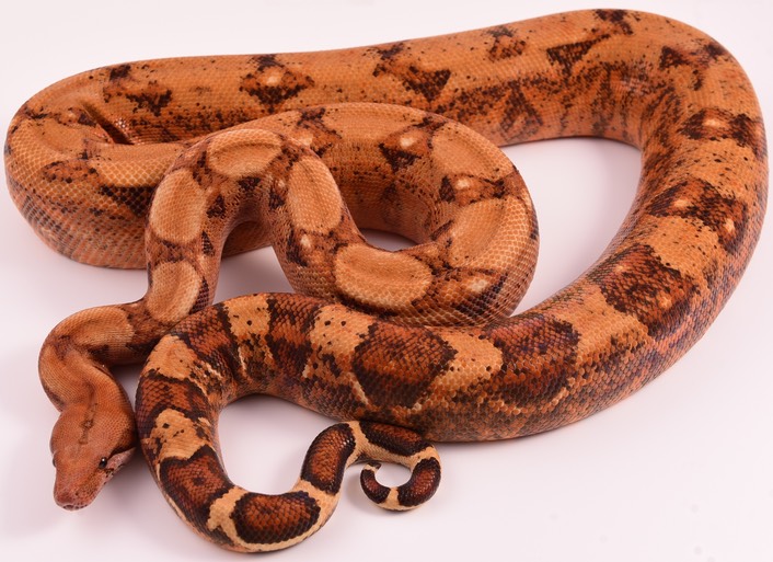 Expo and Christopher-72 (1)