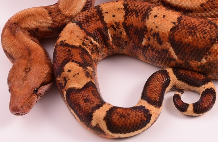 Expo and Christopher-72