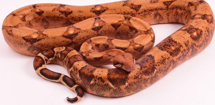 Expo and Christopher-74 (1)