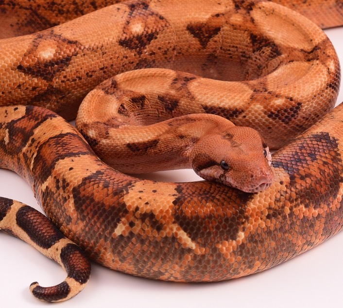 Expo and Christopher-74