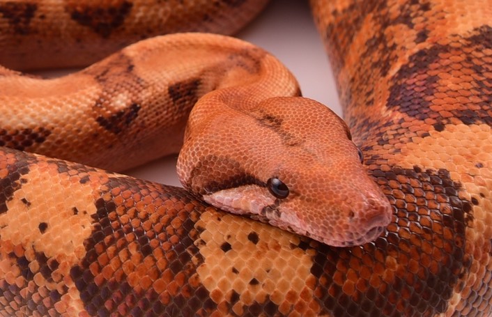 Expo and Christopher-80 (1)