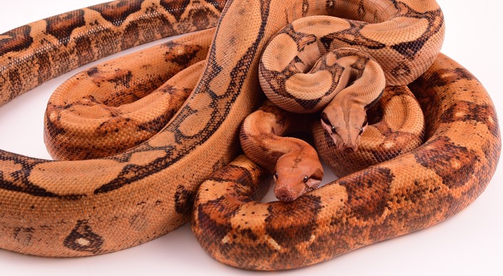 Expo and Christopher-90