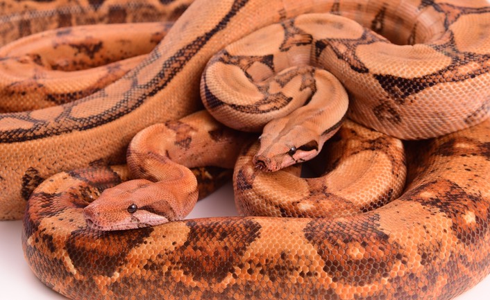 Expo and Christopher-98