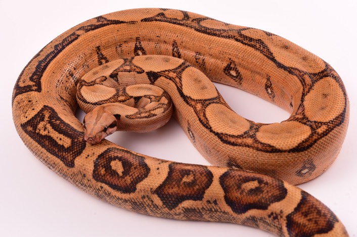 Expo and Christopher-9